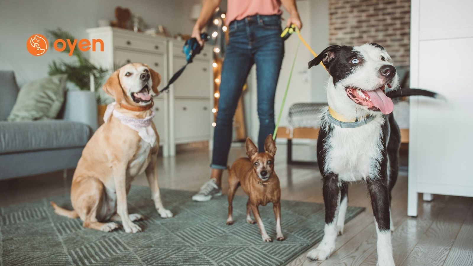 10 Best Pet Sitters In KL & Selangor (checklist, rates, differences & more)